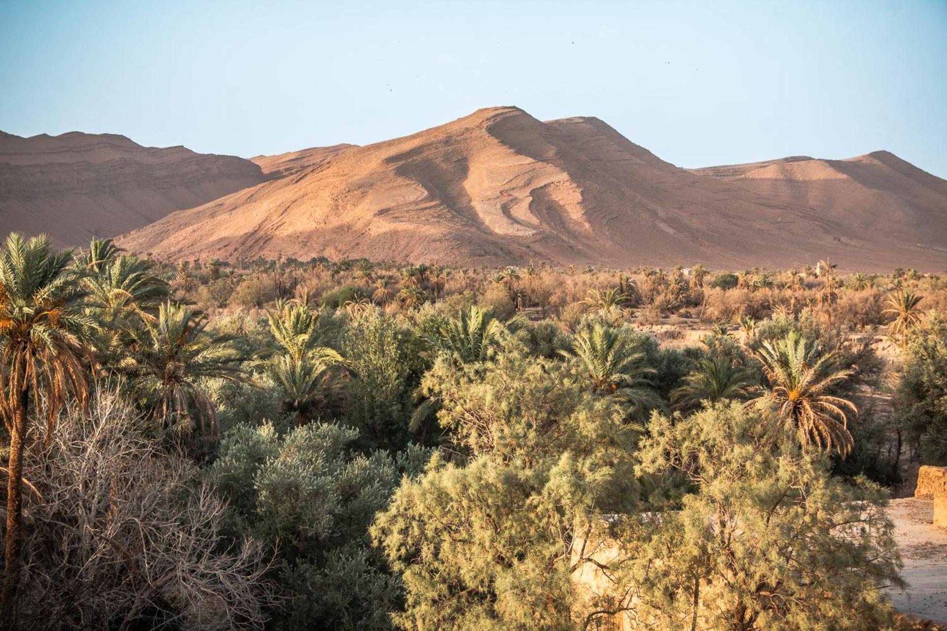 Bed and Breakfast Oasis Travel Tazouka Exterior foto